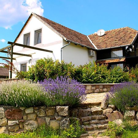 Videki Haz Tagyon Exterior foto