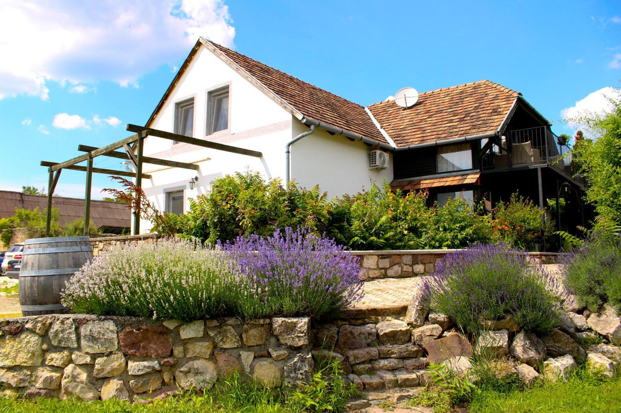 Videki Haz Tagyon Exterior foto